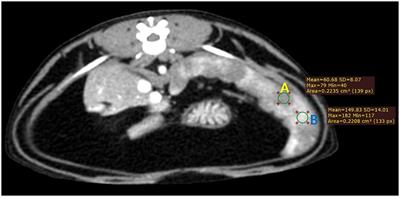 Computed tomographic heterogeneous enhancement of spleen in healthy cats: comparing with diffuse infiltrative splenic lesions